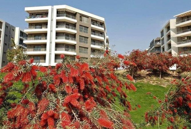 8376424 - صورة العقار 2