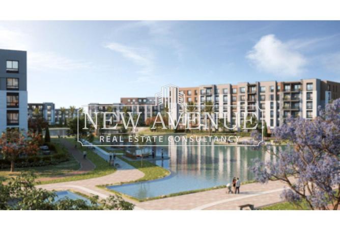 8404944 - Property Image 3