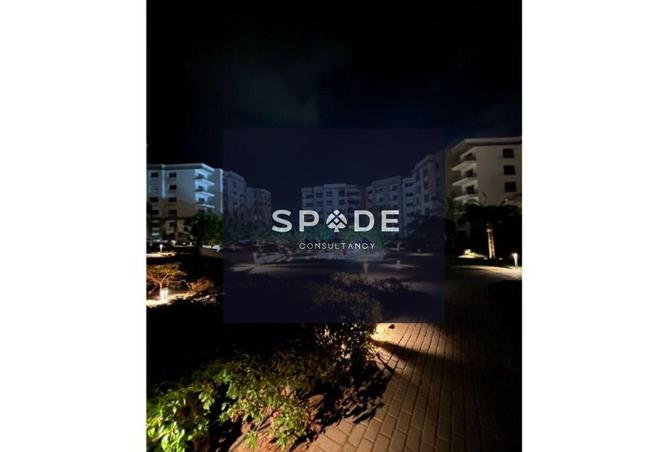 8376674 - Property Image 3