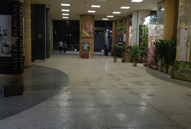 8378038 - Property Image 3