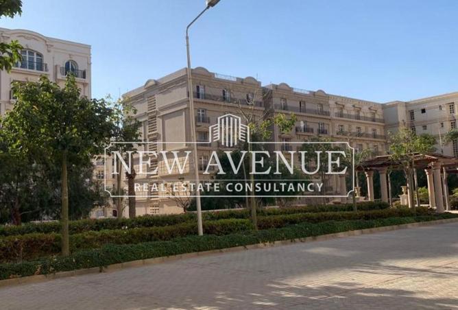 8380774 - Property Image 3