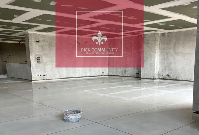 8384309 - Property Image 3