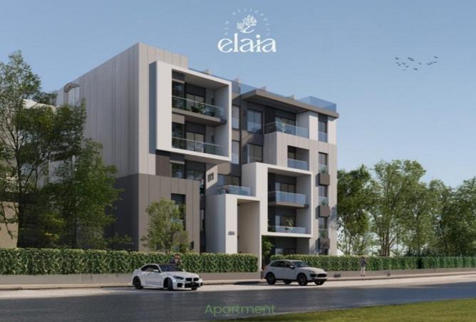 8378304 - Property Image 2