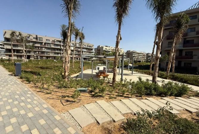 8378787 - Property Image 3