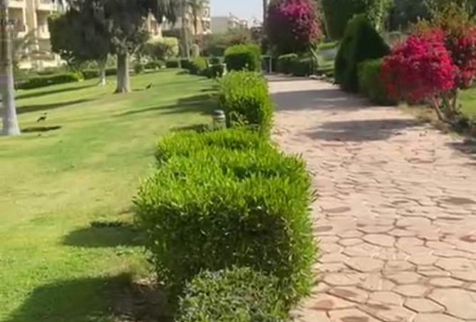 8403476 - صورة العقار 3