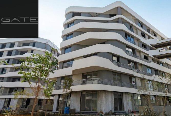 8379616 - Property Image 3