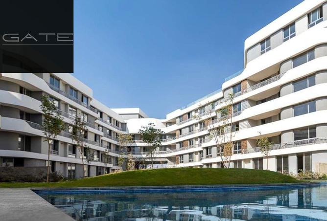 8379685 - Property Image 3