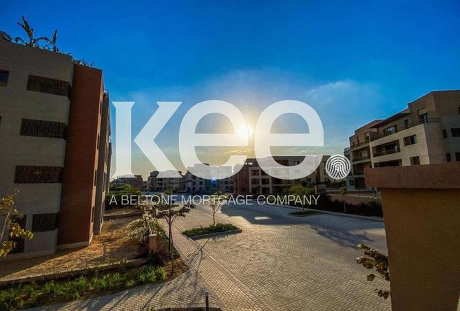 52445057 - Property Image 2