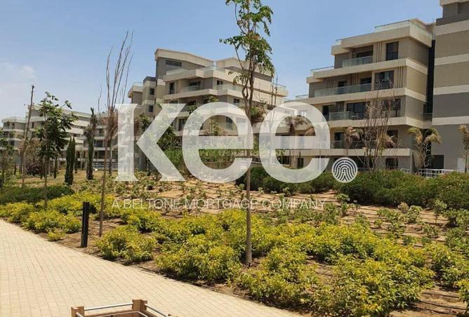 52445057 - Property Image 3