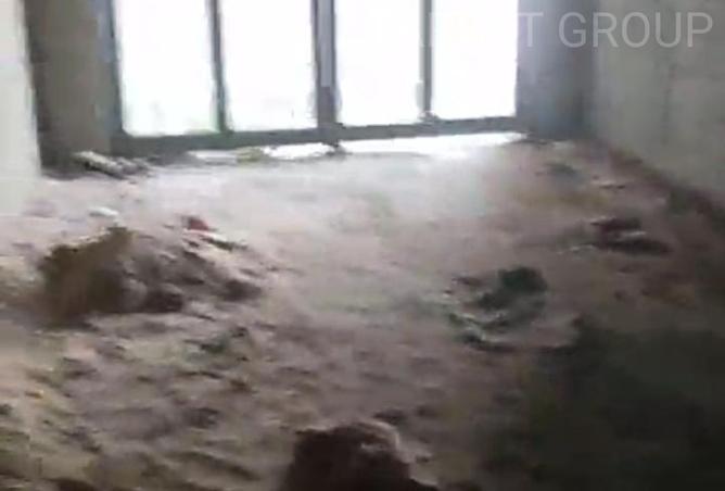 8380454 - صورة العقار 3