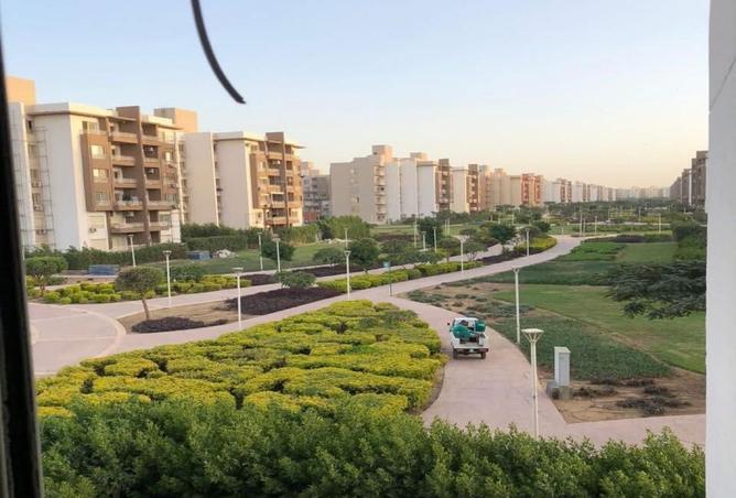 8379918 - Property Image 2