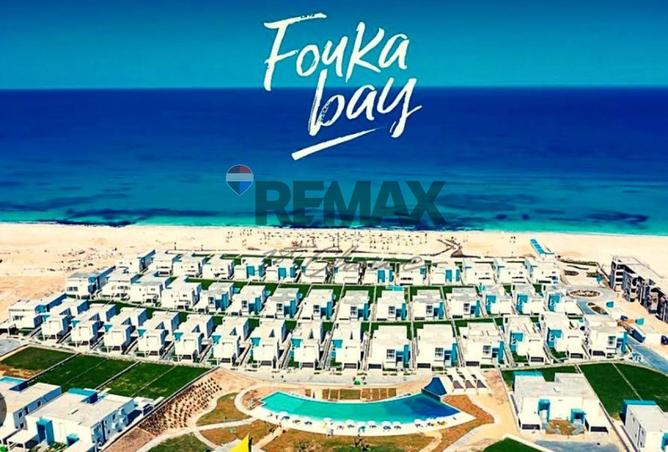 8380224 - Property Image 3