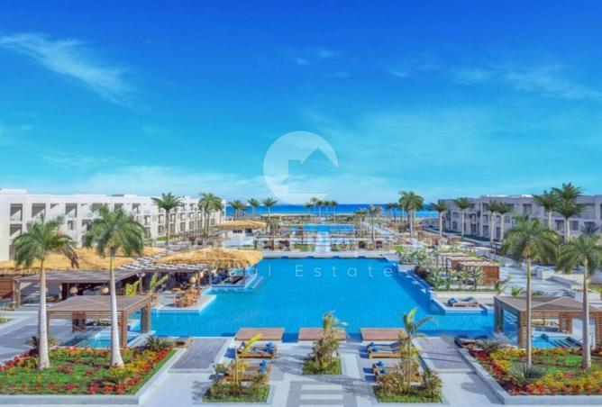 8380872 - Property Image 2