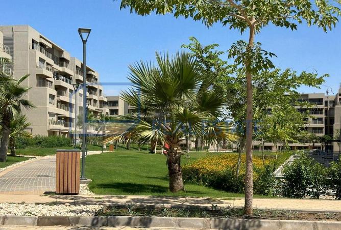 8380260 - صورة العقار 2