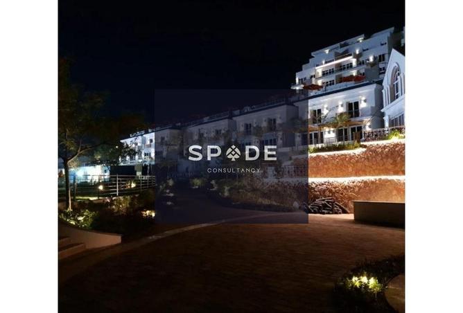 8380358 - Property Image 3