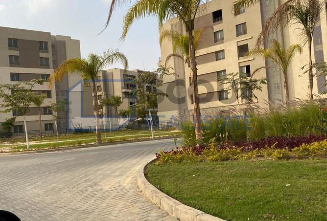 8380342 - الصورة الرئيسية للعقار