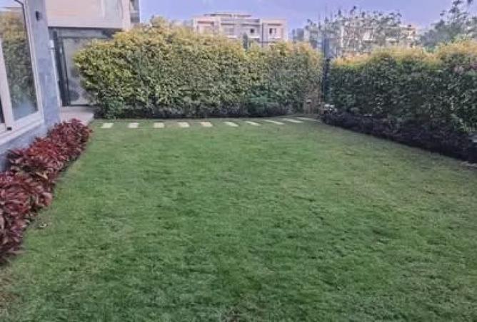 8381657 - Property Image 3