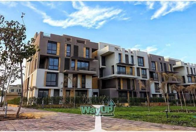 8384238 - Property Image 2