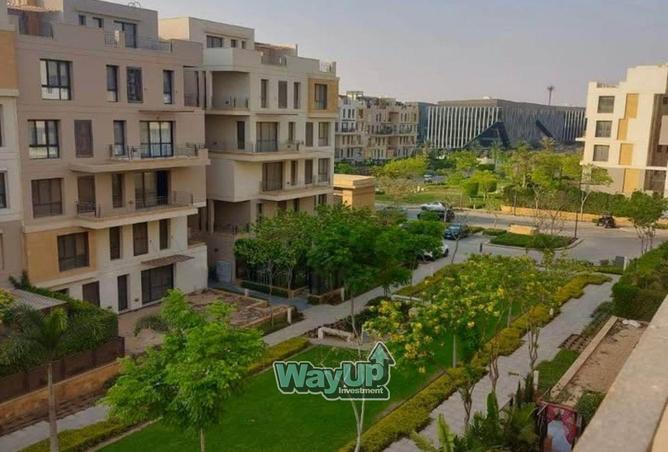 8384238 - Property Image 3