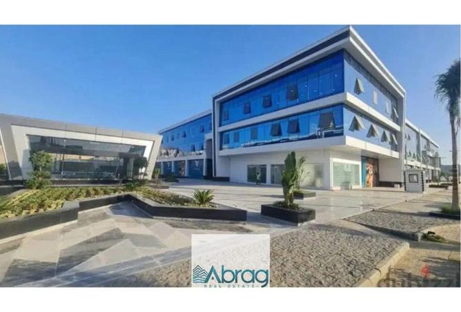 8381010 - Property Image 2