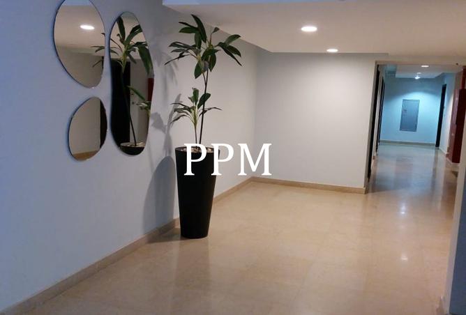 8381389 - صورة العقار 3