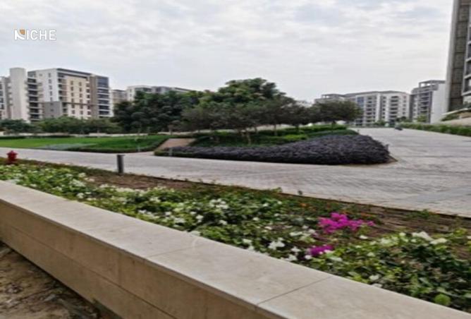 8381516 - Property Image 3