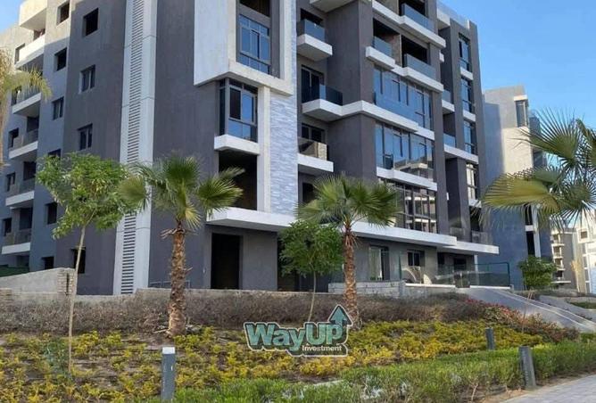 8384125 - Property Image 2