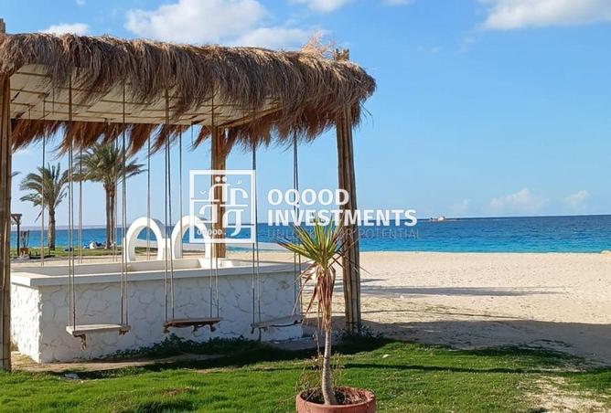 8381834 - صورة العقار 2