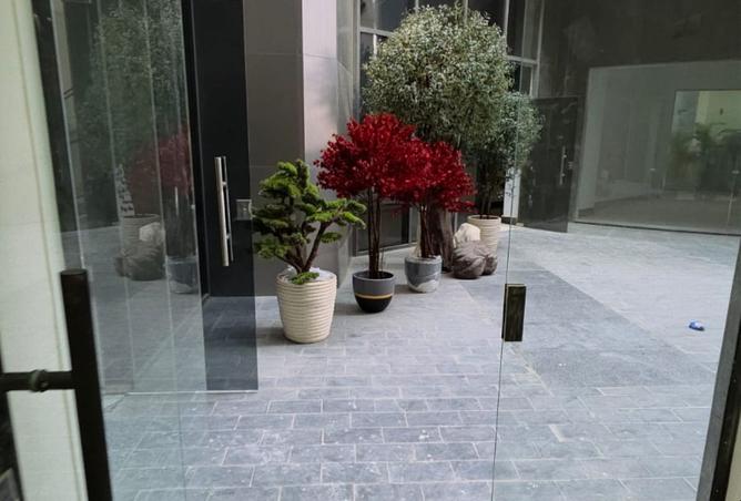 8381988 - الصورة الرئيسية للعقار