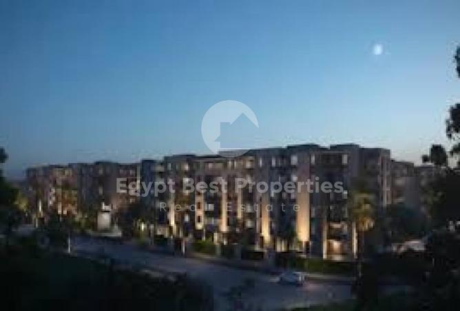 8435615 - Property Image 3