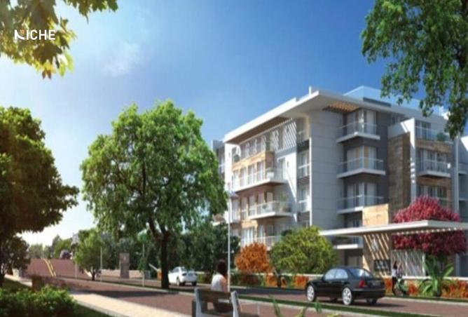 8383061 - صورة العقار 3