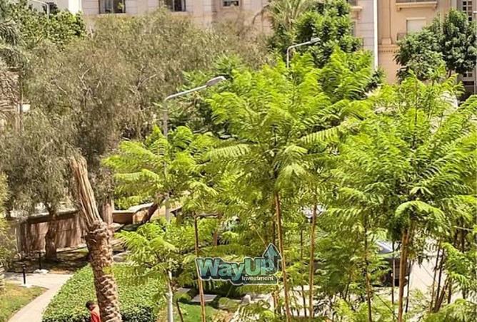 8384204 - Property Image 3