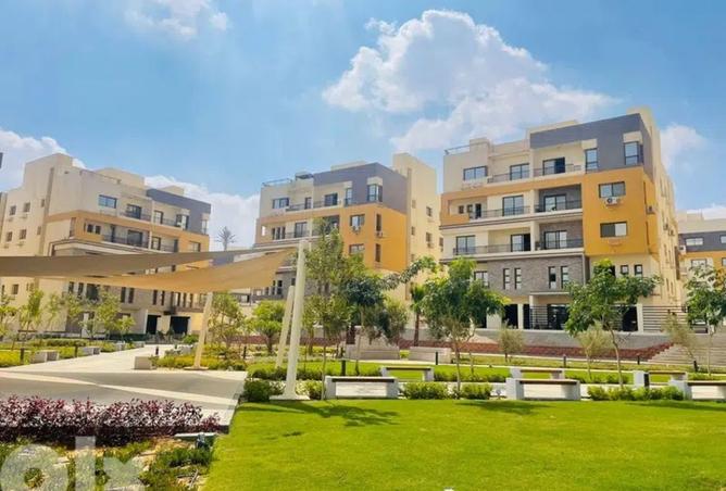 8383786 - Property Image 3