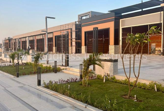 8383901 - Property Image 2