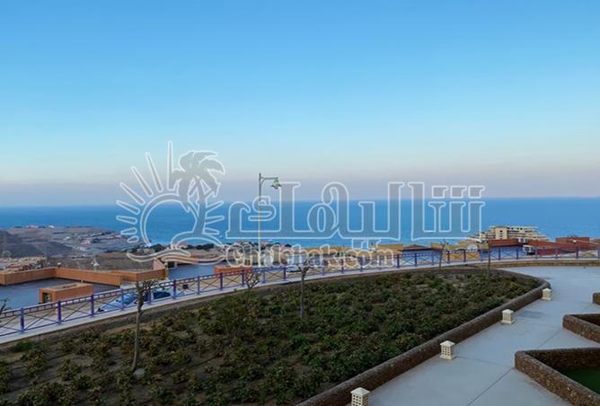 8383788 - Property Image 3