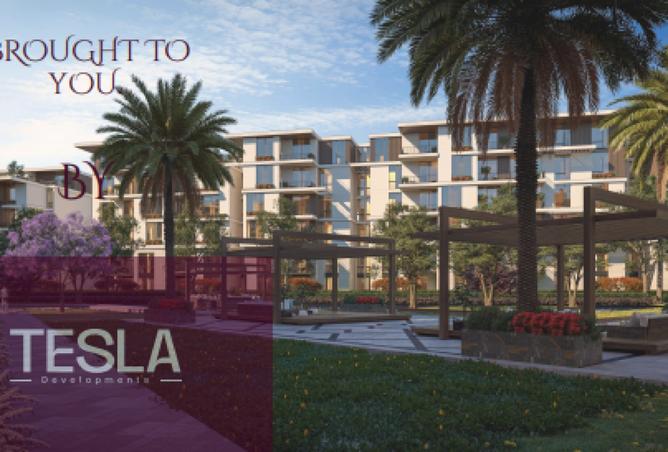 8385829 - Property Image 2