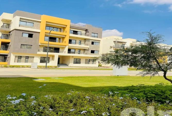 8383836 - Property Image 2