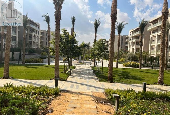 8387165 - صورة العقار 3