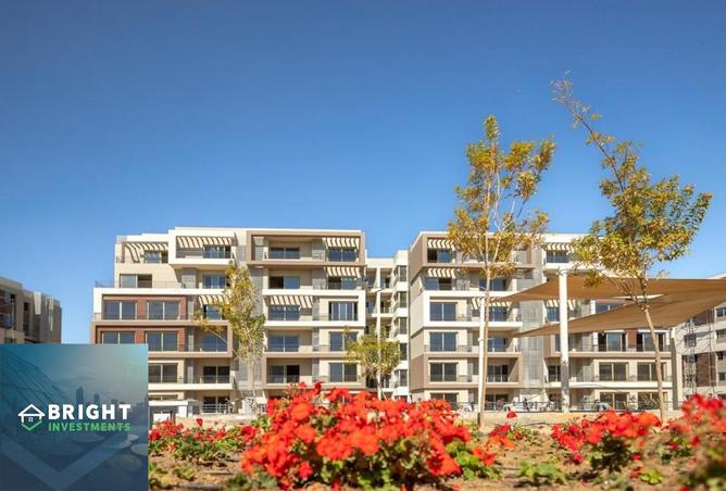 8383998 - Property Image 3