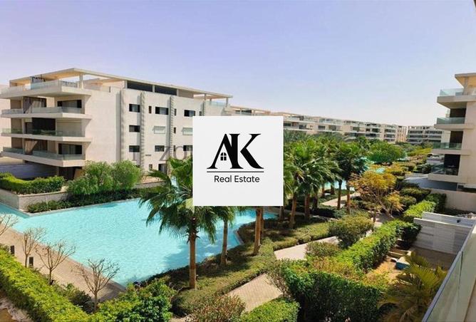 8384095 - Property Image 3