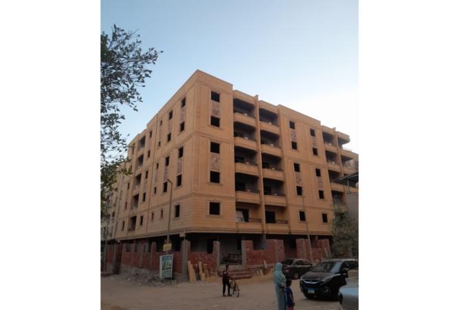 8384380 - Property Image 3