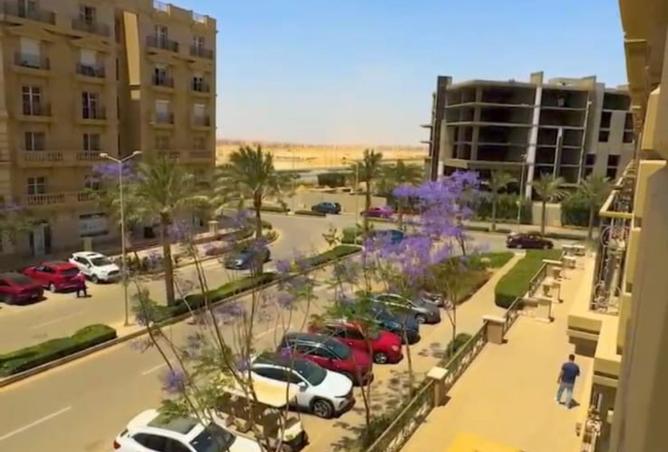 8384452 - Property Image 3