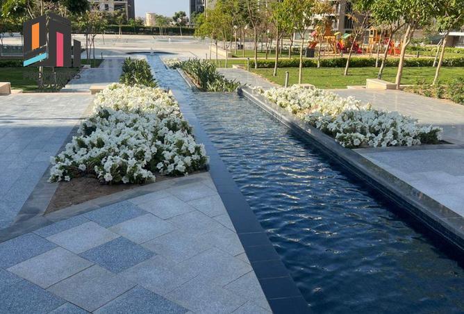 8384506 - Property Image 3