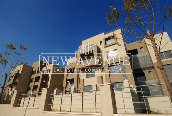 8418731 - Property Image 2