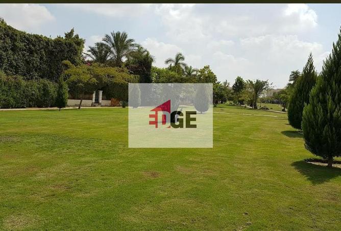 8394905 - صورة العقار 2