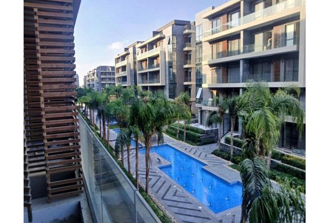 8385628 - Property Image 3