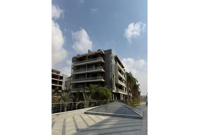 8385638 - Property Image 3