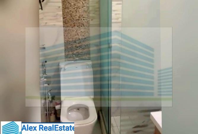 8385718 - Property Image 3