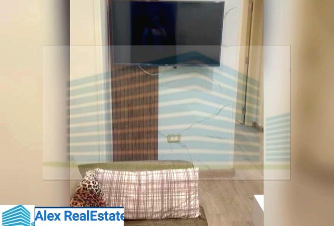 8385718 - Property Main Image