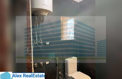 Apartment - 3 Bedrooms - 1 Bathroom for rent in Al Ekbal St. - Laurent - Hay Sharq - Alexandria